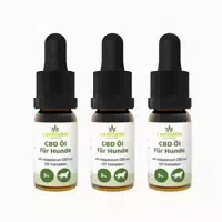 10 ml