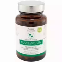 Plantavis Ausgewogen Feigenkaktus