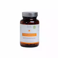 Plantavis Ohrharmonie 60 St Kapseln