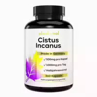 Plantomol Cistus Incanus Kapseln 1000mg Reines Zistrosenkraut Pro Tagesdosis 2 Kapseln