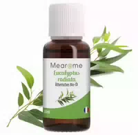 Plastimea Mearome Eukalyptusöl Ätherisches Öl 30 Ml