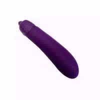 Aubergine Mini Vibrator 1 St