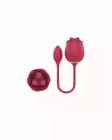 Ro Clever Place Vibrator Mit Vibro Ei 1 St