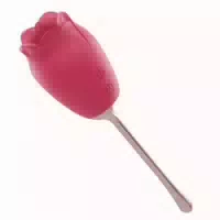 Ro Lux Vibrator mit Vibrierende Zunge