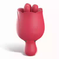 Ro Side Two Mini Vibrator Mit Rotation