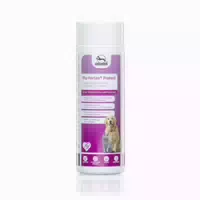 Plu Fortan Protect Tabletten mit Msm