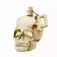 Police To Be Born To Shine Man Eau De Toilette Spray 75ml 0,075 L