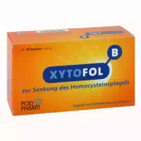 Xyto Fol B Kapseln 90 st