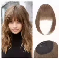 Pony Haarteil Clip in Schläfenclip 14g Damen French Bangs #6 1 st