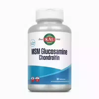 Glucosamine & Chondroitin With Msm 90 St