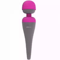 Palmpower Mini Wand Vibrator 19,5 Cm