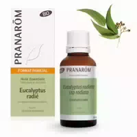 Pranarôm Ätherisches Öl Blauer Eukalyptus Eucalyptus Globulus