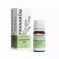 Pranarom Ätherisches Öl Feiner Lavendel