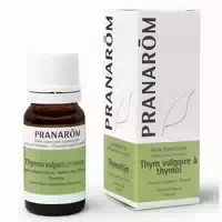Pranarôm Ätherisches Öl Thymian Vulgar Bis Thymol Thymus Vulgaris ct Thymol