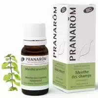 Pranarôm Bio Ätherisches Öl Criste Marine Crithmum Maritimum