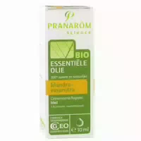 Pranarôm Bio Ätherisches Öl Mandravasarotra Cinnamosma Fragrans