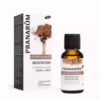 Pranarom Bio Aromamischung Meditation
