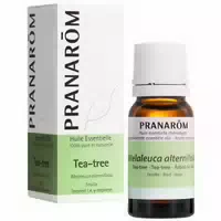 Pranarôm Teebaum Ätherisches Öl Melaleuca Alternifolia