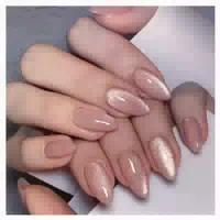 Press On Nails Kurz Almond Nude Rosa Cat Eye Magnetic Ca2 1 st