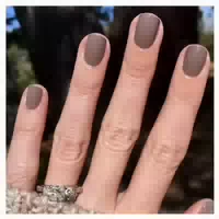Press On Nails Kurz Square Braun Herbst Einfarbig Az33 1 st