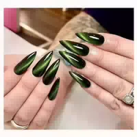 Press On Nails Stiletto Lang Cat Eye Dunkelgrün Magnetic Ahc 1 st