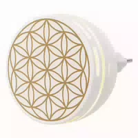 Aroma Duftstecker Easy 1 St