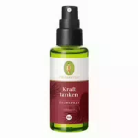 Primavera Kraft Tanken Raumspray