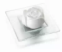 Duftstein Rosenblüte Glasteller Transparent 1 st