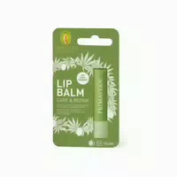 Lip Balm Care & Repair 4,6 g