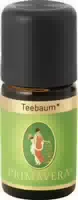 Teebaum Öl Kba 5 Ml Ätherisches Öl