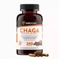 Shroomy Chaga Extrakt Kapseln 240 St