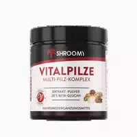 Shroomy Lions Mane Extrakt Pulver 70 g