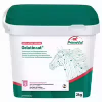 Primeval Gelatinaat für Pferde Fördert Muskelkondition und Knochenstärke