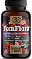 Probiotika Frauen Intimflora Kapseln Stark Vegan De Scheunengut 60 Kapseln