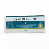Gse Aerobiotic Einmal Ampullen für Vernebler 10x5 ml Inhalationslösung
