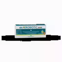 Gse Aerobiotic Junior Aerosollösung 10x5 ml