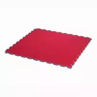 Progame Trocellen Fitnessmatte Tatami Basic