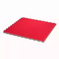 Progame Trocellen Fitnessmatte Tatami Gym