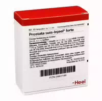 Prostata Suis Injeel Forte Ampullen