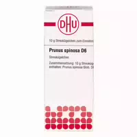 Dhu Prunus Spinosa D6 Globuli 10 g