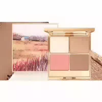 Pudaier Glam Glow Highlighter And Bronzer Palette 17g 01 Morning Tea