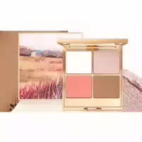 Pudaier Glam Glow Highlighter And Bronzer Palette 17g 02 Iced Salmon