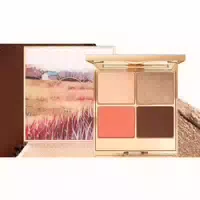 Pudaier Glam Glow Highlighter And Bronzer Palette 17g 04 Sunkissed Serenity