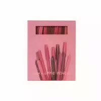 Pudaier Lippie Pencil 2gx12 Holiday Set 01 12