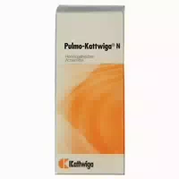 Pulmo Kattwiga N Tropfen 100 Ml Tropfen