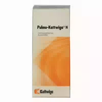 Pulmo Kattwiga N Tropfen 50 Ml Tropfen