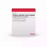 Pulpa Dentis Suis Injeel Ampullen 10 St Ampullen