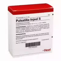 Pulsatilla Injeel S Ampullen 10 St Ampullen