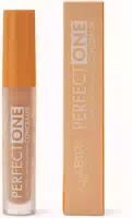 Purobio Cosmetics Perfect One Concealer 02
