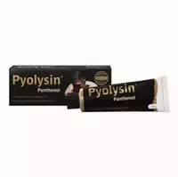 Pyolysin Panthenol 30 G Creme